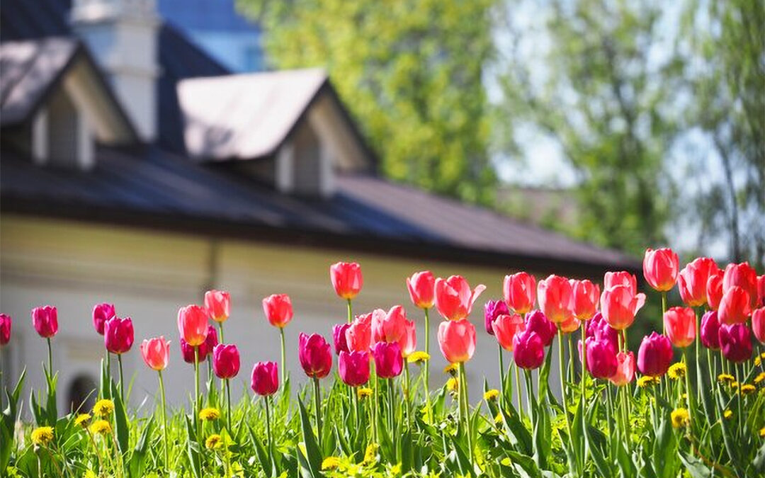 Spring Cleaning Your Roof: A Complete Checklist for Homeowners
